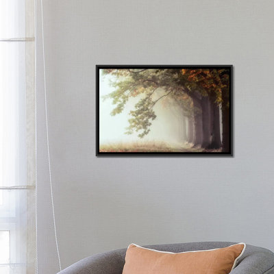 « dawnscratchers », reproduction de photo sur toile