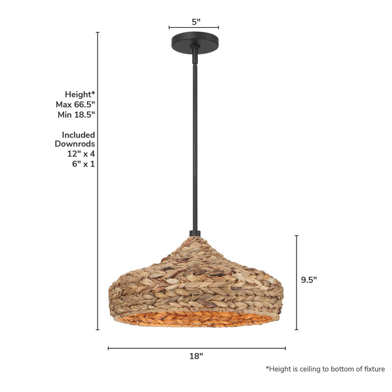 Hunter Cambria 1 Light Large Pendant Ceiling Light Fixture