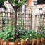 Treillis de jardin en métal antirouille pour plantes grimpantes