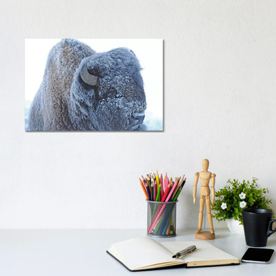 Frozen 1 Piece Wrapped Canvas Wall Art