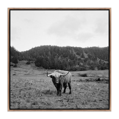 Highlander/Elk, Ca Print by Wesley And Emma Teague