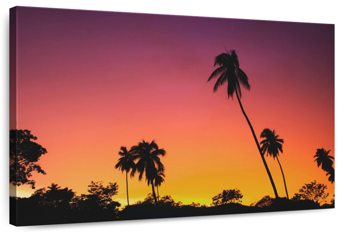 Millwood Pines Alvord Dramatic Sunset | Wayfair
