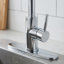 Robinet de cuisine industriel à bec simple avec douchette extractible (ensemble de 2)-128613757