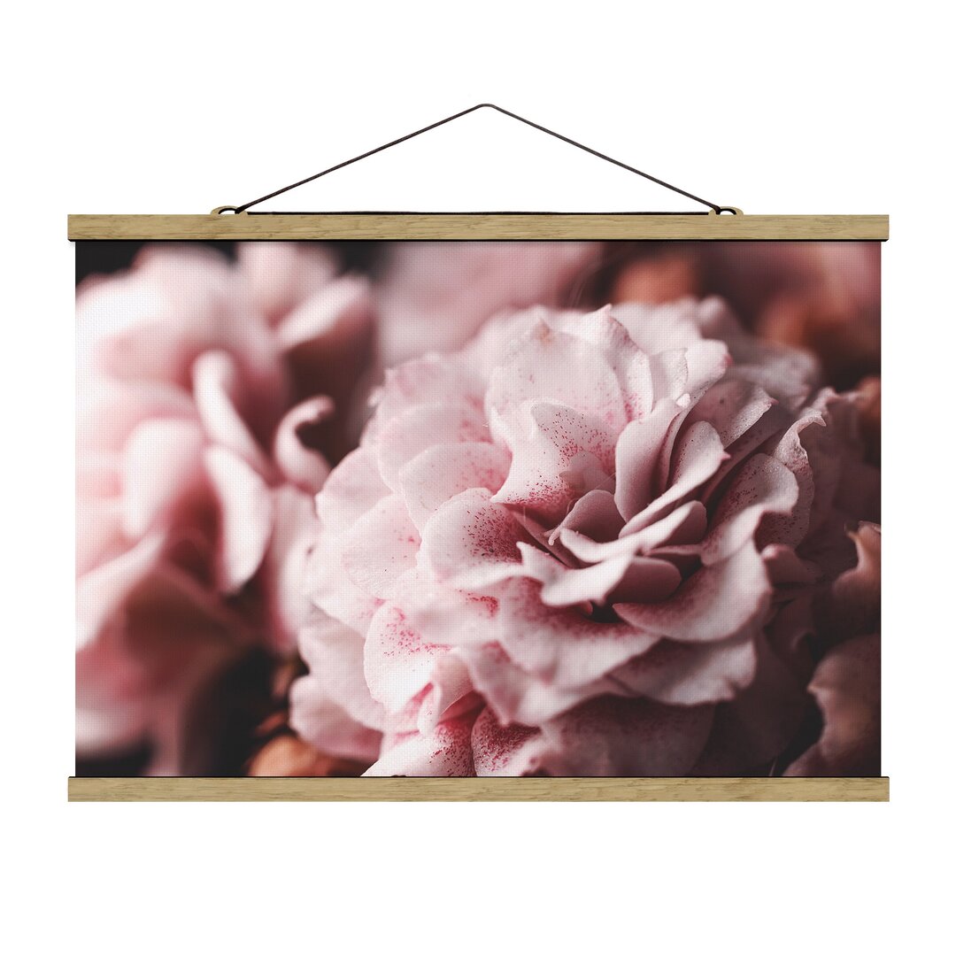 Fotodruck Shabby Pink Rose Pastell