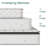 Bellechester 10.10 in. Mattress-1862766744