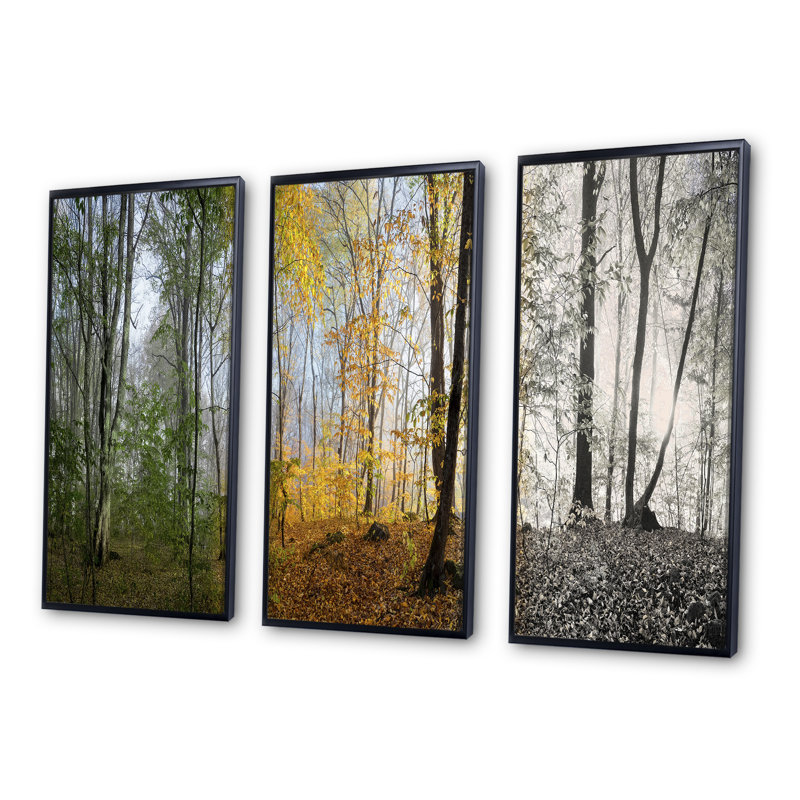 Forêt dans une matinée - photographie flottante sur toile 3 pièces, Noir, H 28 po x l 36 po