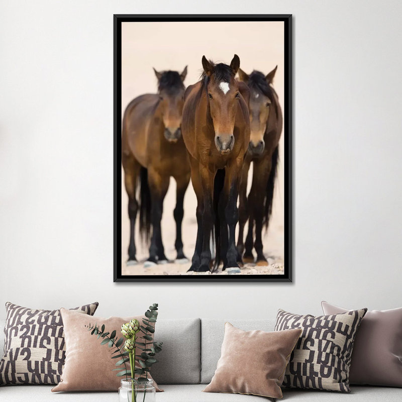 Reproduction de photo sur toile, H 26 po x l 18 po x P 1,5 po, Toile avec cadre noir, Pas de tapis