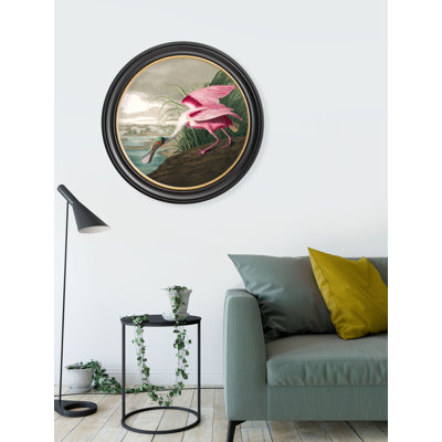 Spoonbill In Round Frame by Audubon - Single Picture Frame Print on Archival Matt 230gsm Paper