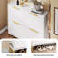12 Pair Shoe Storage Cabinet