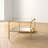 Galilea Rectangular Coffee Table with Storage in Gold and Mirrored