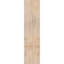 Sapin Douglas-113998552-109329477