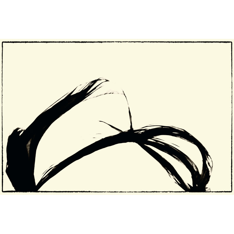 Silk Ink IV - Wrapped Canvas Print, 30cm H x 46cm W x 3.8cm D