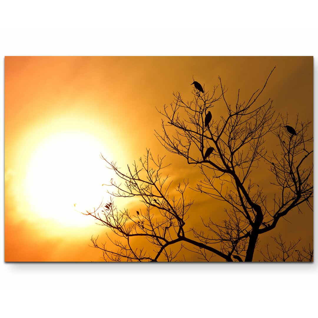 Leinwandbild Baum im Sonnenuntergang