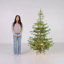 The Holiday Aisle® Norwegian Spruce Tree with Clear Lights-1280314927