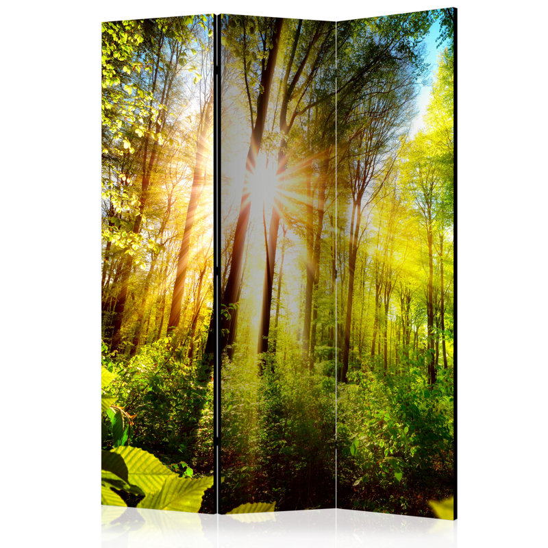 Inness 172cm H Folding Room Divider, 3