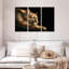 Cougar Brampt endormi-108001138