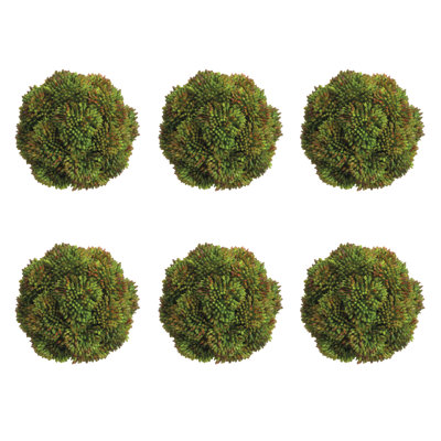 Boules de Sedum décoratives