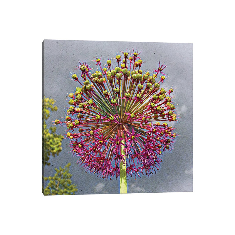 Sphere by Heidi Bannon - Wrapped Canvas Print, 30.48 cm H x 30.48 cm W