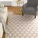 Molly Geometric Indoor Rug