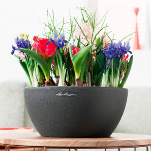 Pot Planter