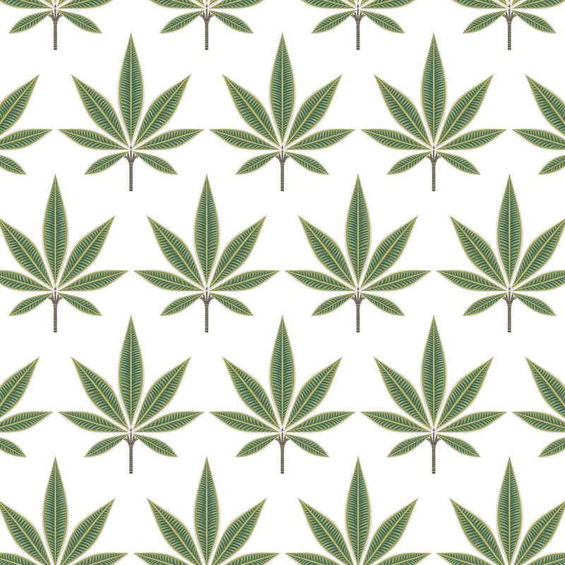Brendan 8.23m x 68.58cm Matte Wallpaper Roll, Green/White