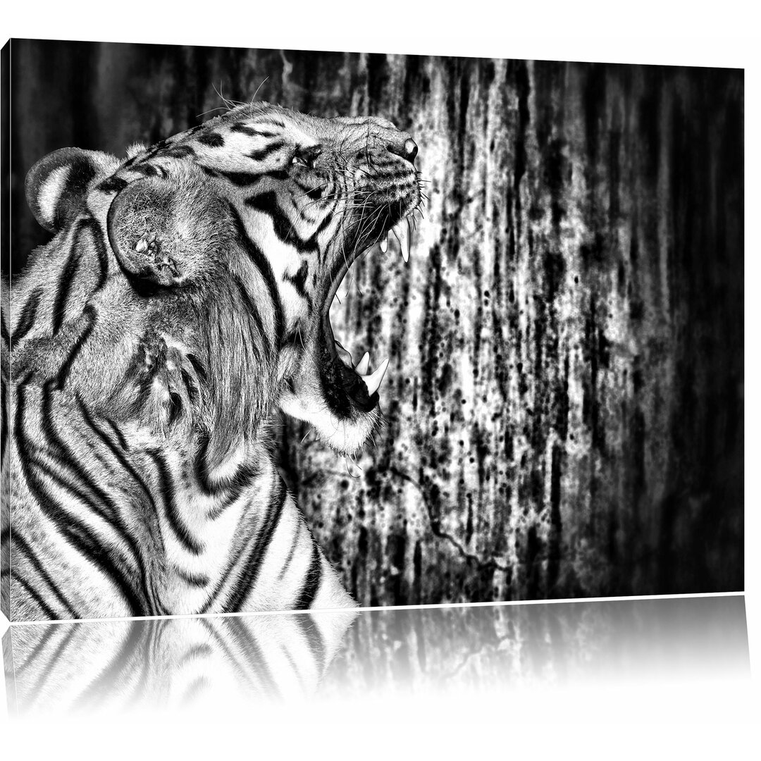 Leinwandbild Brüllender Tiger in Monochrom