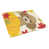 Caniche brun chocolat