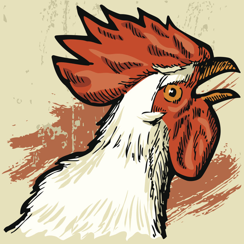 Rooster by Publiy - Wrapped Canvas Print, 51cm H x 51cm W