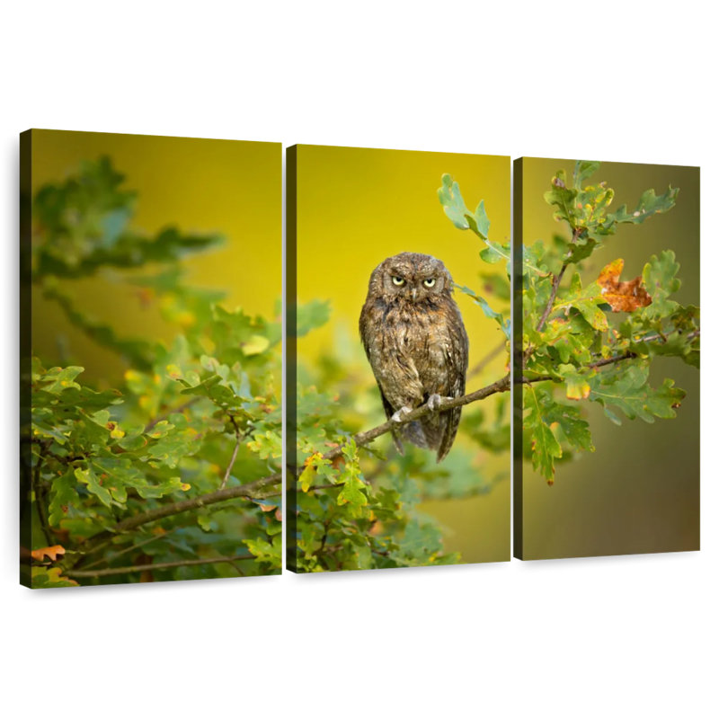 Brampt Owl Perching On Tree, 24" H x 38" W