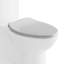 Elongated Toilet Seat