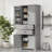 [Video] Storage Cabinet With Multi-Functional Storage Space, Doors With Storage Shelves, 2 Drawers, Adjustable Shelf, Gray (Same Sku: N759p293426e)