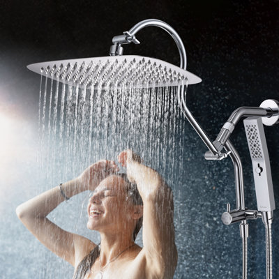 Rain Dual Shower Head