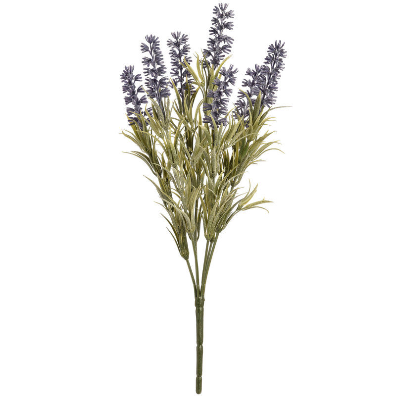 Anastasija Arrangement, 34 cm H x 25 cm W x 25 cm D
