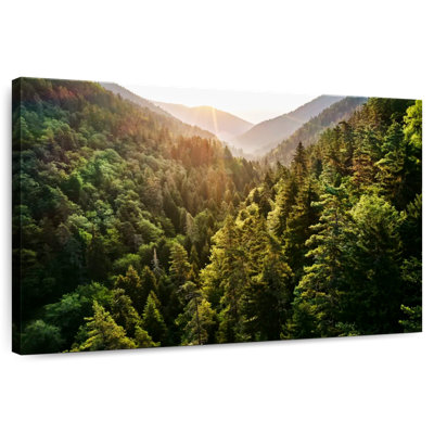 Forêt de pins d'Alvord Kharagauli