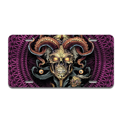 Cadre en aluminium Jester Skull