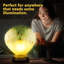 Hoye Table Lamp