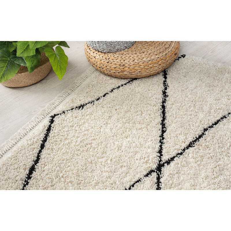 Andice Shaggy Rug in Black/White, Rectangle 200 x 290cm