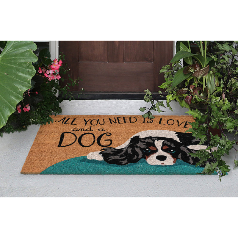 Everlee Outdoor Doormat, Rectangle 2' x 3'