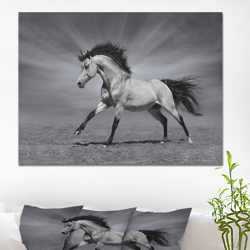 «Chestnut Horse in Motion», impression, H 30 po x l 40 po x P 1,5 po, Toile tendue