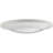 Ashlock 7.25" White LED Wet Rated Flush Mount Light