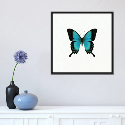 « blue papillon », impression sur toile tendue