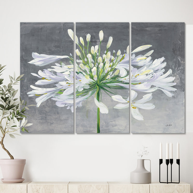 «Floral Cleome Splash», reproduction de peinture sur toile - Fleur Cleome Splash I, H 32 po x l 48 po x P 1 po