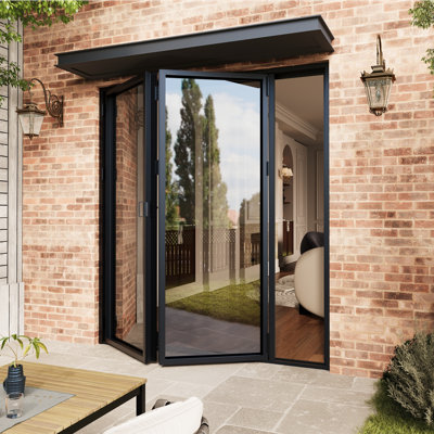 LumiAlloy Black  Aluminum Folding Patio Door (2+0)