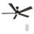 60'' Ceiling Fan with LED Lights-926586044-926586045
