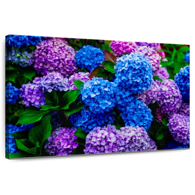 Harnek Hydrangea Flower Garden