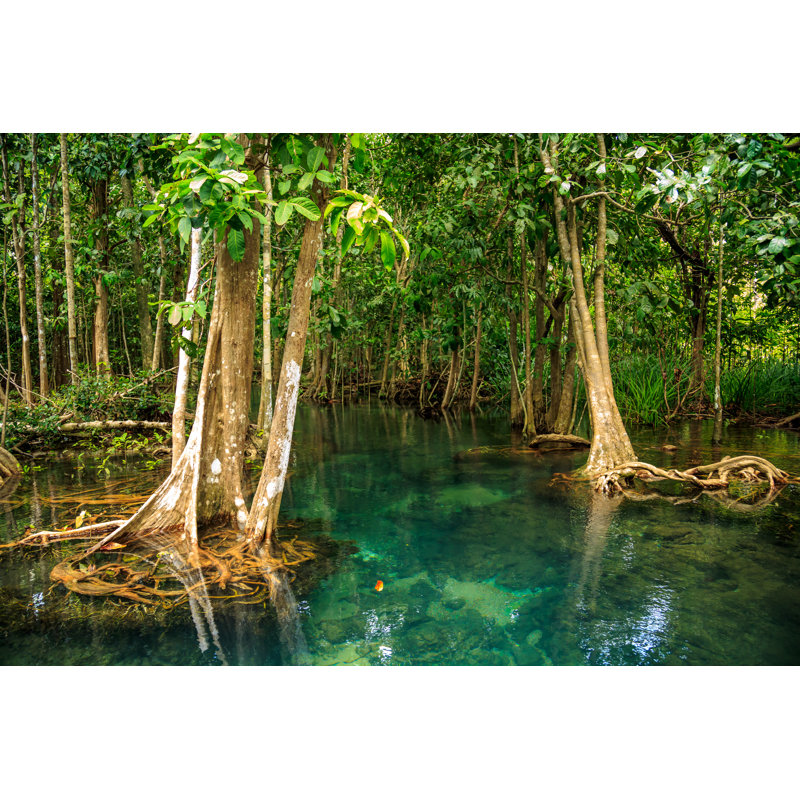 " Mangrove Forest " by Khunjompol, 18'' W x 12'' H
