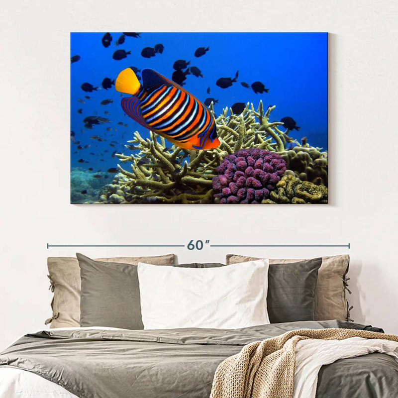 Brampt Royal Angelfish, 34" H x 51" W