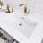 Tenshi 60'' Double Bathroom Vanity with Acrylic Top-10259967