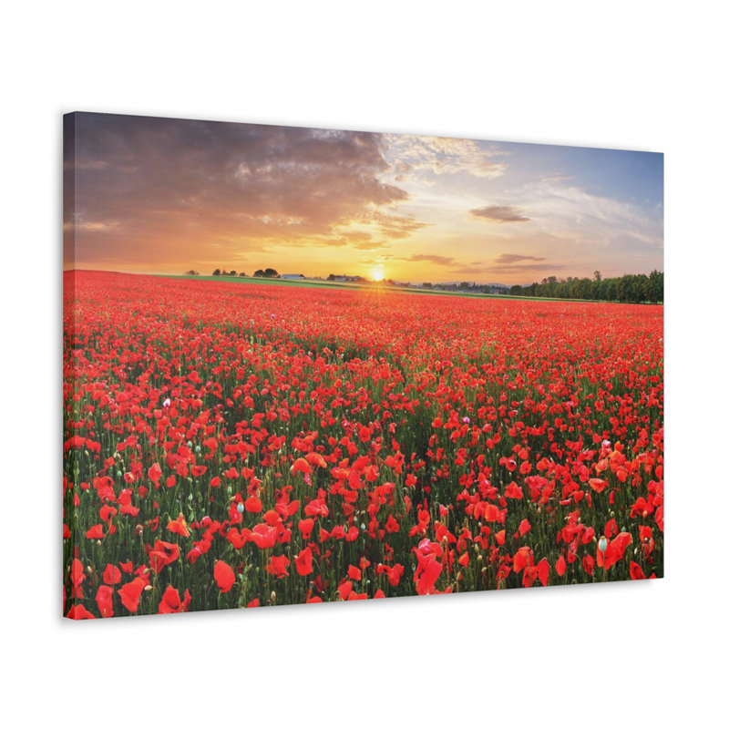 Wall Art on Canvas, 16cm H x 20cm W