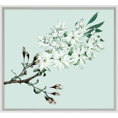 Powder Blue Blossom 6 Print